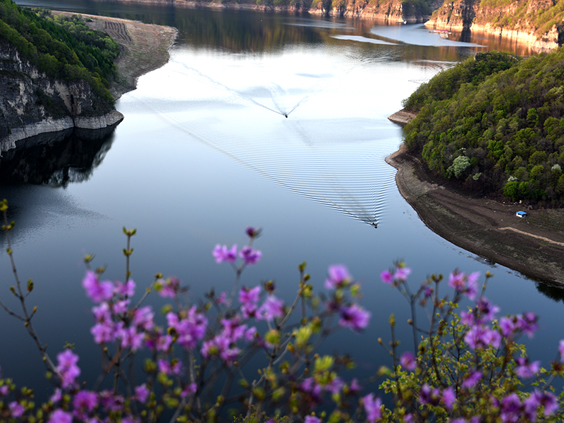 白山湖仁義春景